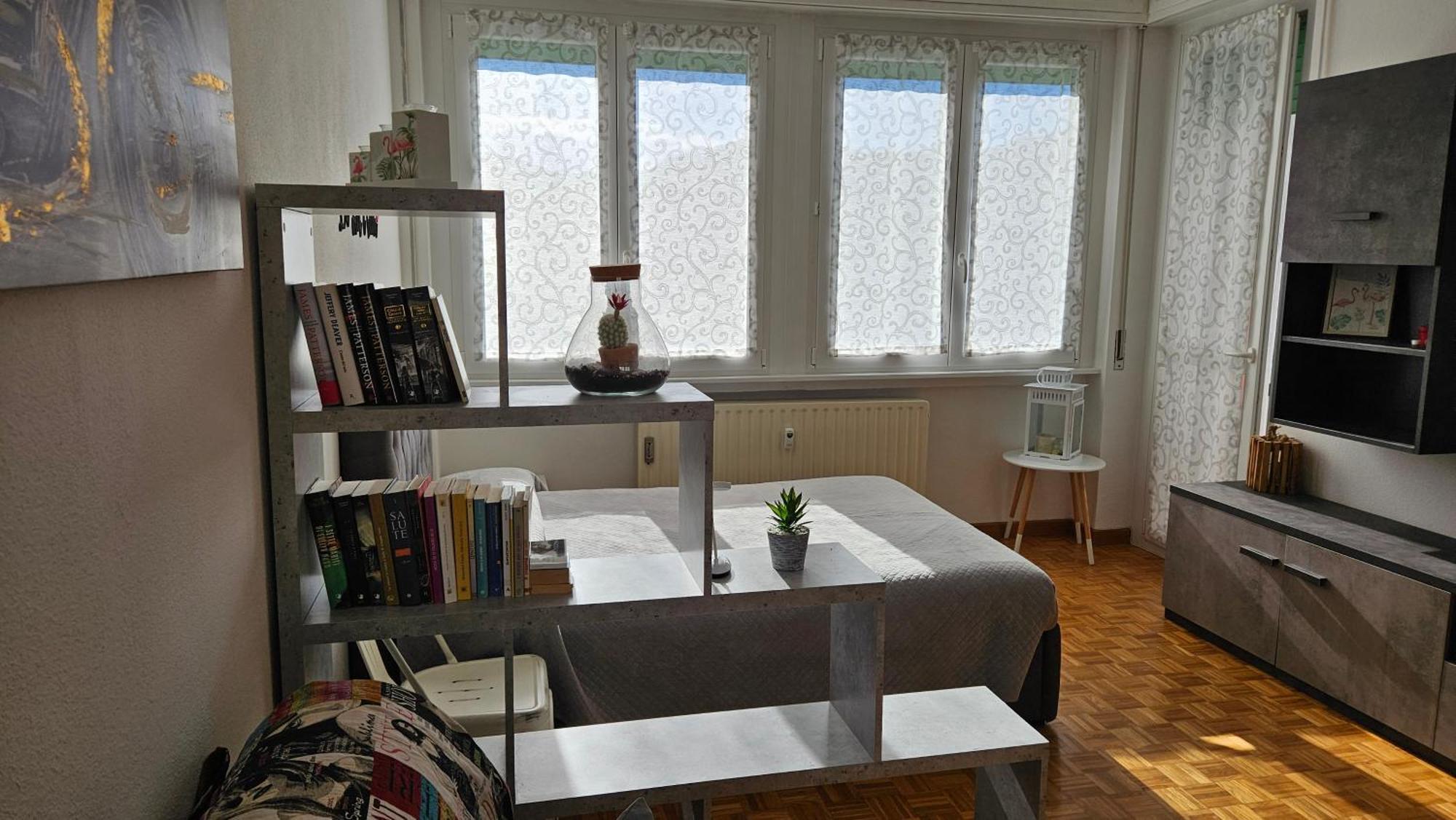 Dana'S House Apartment Campione d'Italia Luaran gambar
